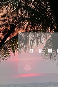 疫情期间花呗逾期会怎么样 疫情期间花呗逾期会怎么样