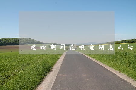 疫情期间花呗逾期怎么处理 疫情期间花呗逾期怎么处理