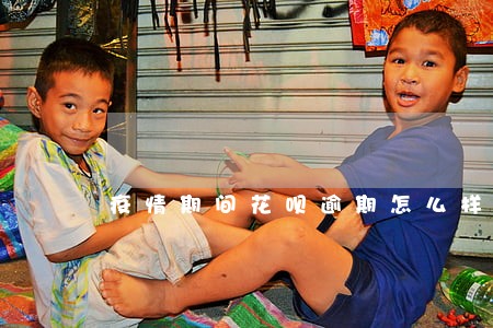 疫情期间花呗逾期怎么样协商 疫情期间花呗逾期怎么样协商