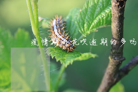 疫情期间花呗逾期的多吗 疫情期间花呗逾期的多吗