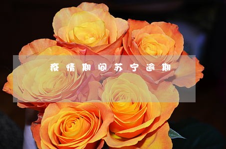 疫情期间苏宁逾期 疫情期间苏宁逾期