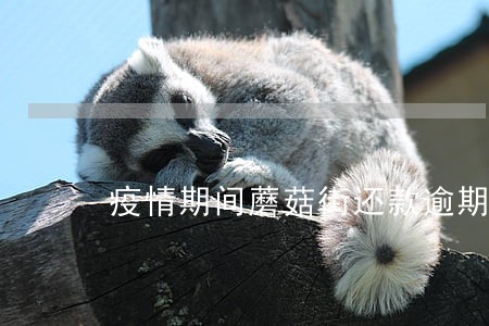 疫情期间蘑菇街还款逾期