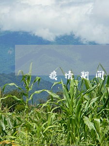 疫情期间蚂蚁花逾期 疫情期间蚂蚁花逾期