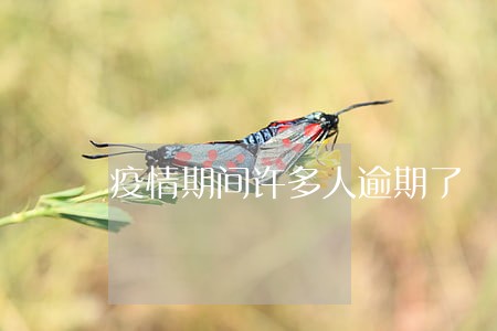 疫情期间许多人逾期了