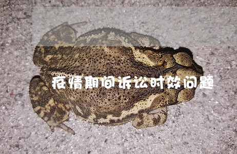 疫情期间诉讼时效问题 疫情期间诉讼时效问题