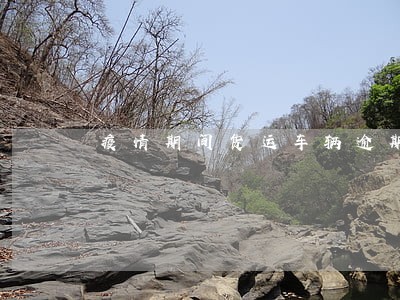 疫情期间货运车辆逾期 疫情期间货运车辆逾期