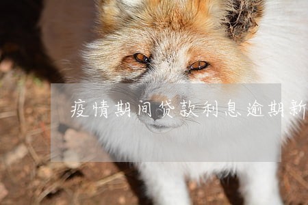 疫情期间贷款利息逾期新规定 疫情期间贷款利息逾期新规定
