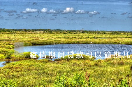 疫情期间贷款可以逾期几天 疫情期间贷款可以逾期几天