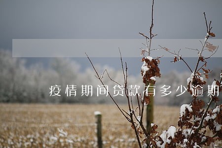 疫情期间贷款有多少逾期的 疫情期间贷款有多少逾期的