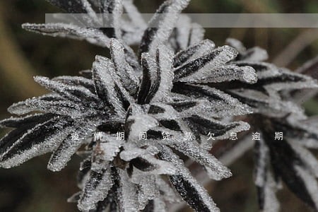 疫情期间贷款欠息逾期 疫情期间贷款欠息逾期