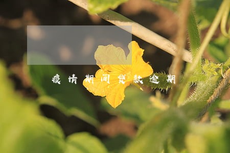 疫情期间贷款逾期