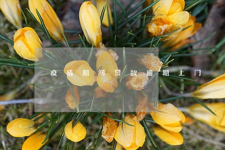 疫情期间贷款逾期上门 疫情期间贷款逾期上门