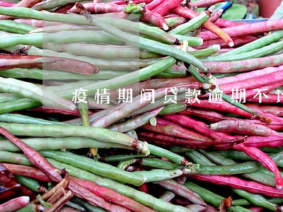 疫情期间贷款逾期不计入征信 疫情期间贷款逾期不计入征信