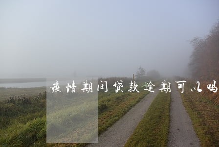 疫情期间贷款逾期可以吗 疫情期间贷款逾期可以吗