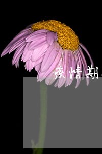 疫情期间贷款逾期怎么办理 疫情期间贷款逾期怎么办理