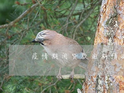 疫情期间贷款逾期情况 疫情期间贷款逾期情况