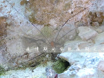 疫情期间贷款逾期文件