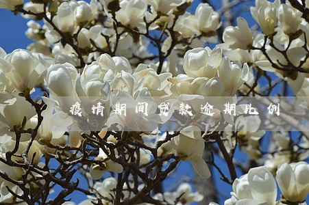 疫情期间贷款逾期比例