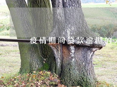 疫情期间贷款逾期的人多吗 疫情期间贷款逾期的人多吗
