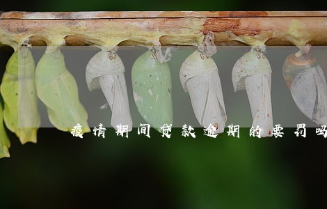疫情期间贷款逾期的要罚吗 疫情期间贷款逾期的要罚吗
