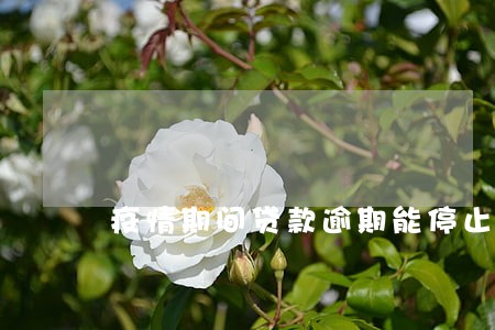 疫情期间贷款逾期能停止催收 疫情期间贷款逾期能停止催收