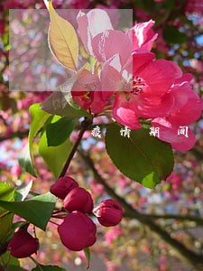 疫情期间贷款逾期说明 疫情期间贷款逾期说明