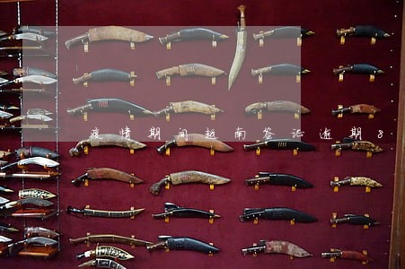 疫情期间越南签证逾期8天 疫情期间越南签证逾期8天
