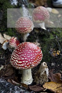 疫情期间车在外地逾期年审