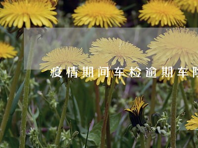 疫情期间车检逾期车险 疫情期间车检逾期车险