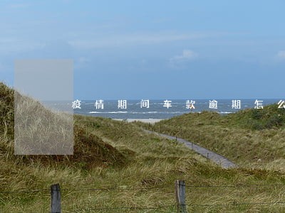 疫情期间车款逾期怎么办 疫情期间车款逾期怎么办
