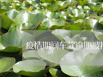 疫情期间车款逾期被拖走合法吗 疫情期间车款逾期被拖走合法吗