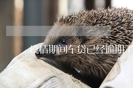 疫情期间车贷已经逾期了 疫情期间车贷已经逾期了