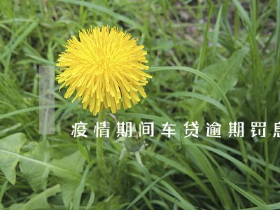 疫情期间车贷逾期罚息 疫情期间车贷逾期罚息