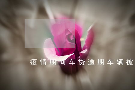 疫情期间车贷逾期车辆被开走 疫情期间车贷逾期车辆被开走