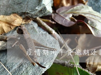 疫情期间车贷逾期还款人意外死亡 疫情期间车贷逾期还款人意外死亡