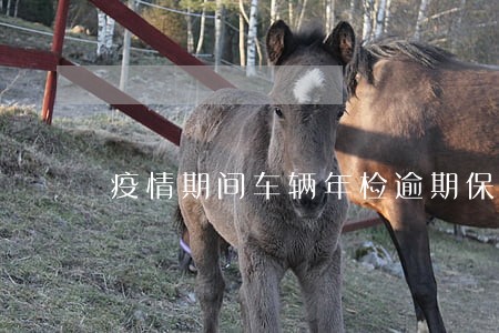疫情期间车辆年检逾期保险理赔 疫情期间车辆年检逾期保险理赔