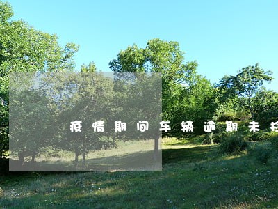 疫情期间车辆逾期未检怎么处理 疫情期间车辆逾期未检怎么处理