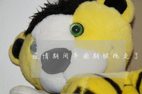疫情期间车逾期被拖走了