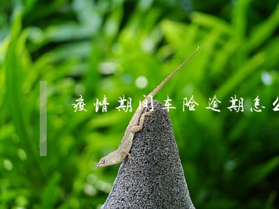 疫情期间车险逾期怎么办 疫情期间车险逾期怎么办
