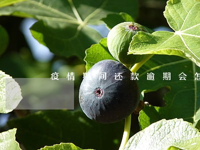 疫情期间还款逾期会怎么样 疫情期间还款逾期会怎么样