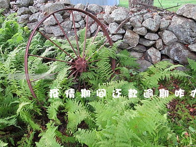 疫情期间还款逾期咋办 疫情期间还款逾期咋办