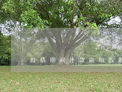 疫情期间还款逾期数据 疫情期间还款逾期数据