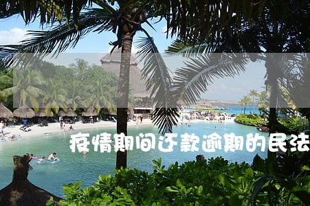 疫情期间还款逾期的民法典 疫情期间还款逾期的民法典