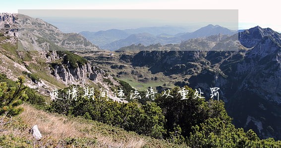 疫情期间违法将从重处罚 疫情期间违法将从重处罚
