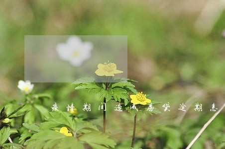 疫情期间造成房贷逾期怎么办 疫情期间造成房贷逾期怎么办