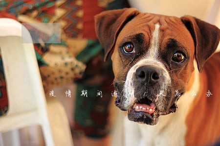 疫情期间逾期1天怎么办 疫情期间逾期1天怎么办