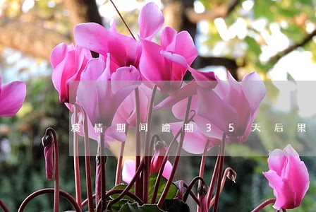 疫情期间逾期35天后果多严重 疫情期间逾期35天后果多严重