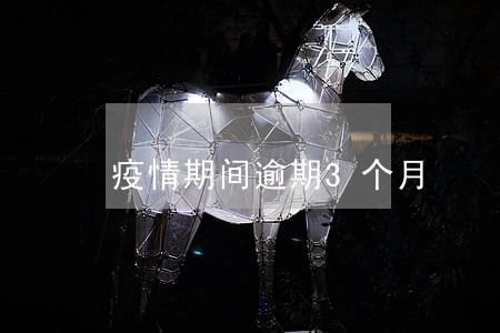疫情期间逾期3个月 疫情期间逾期3个月