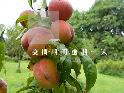疫情期间逾期一天 疫情期间逾期一天
