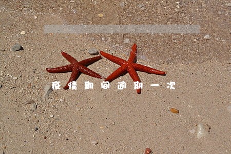 疫情期间逾期一次 疫情期间逾期一次
